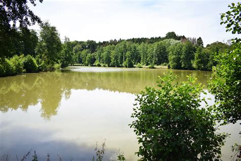 Liste Des étang Fédéral Du Nord 2022 Les étangs réciprocitaires du département du Nord - Pêche59